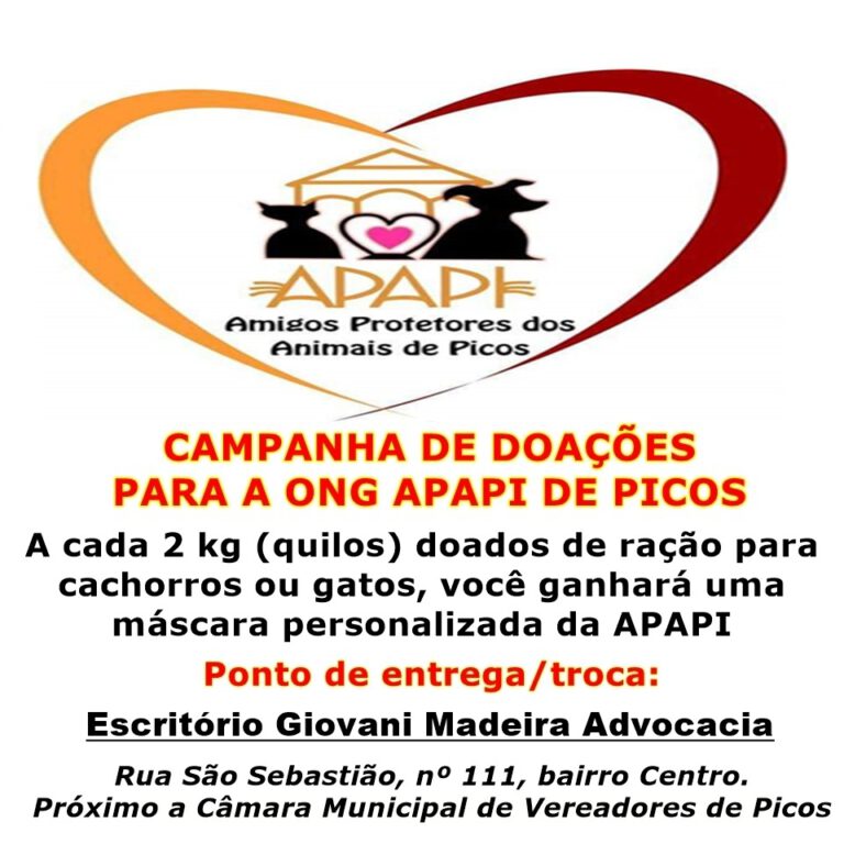 Campanha arrecada rações para cães e gatos