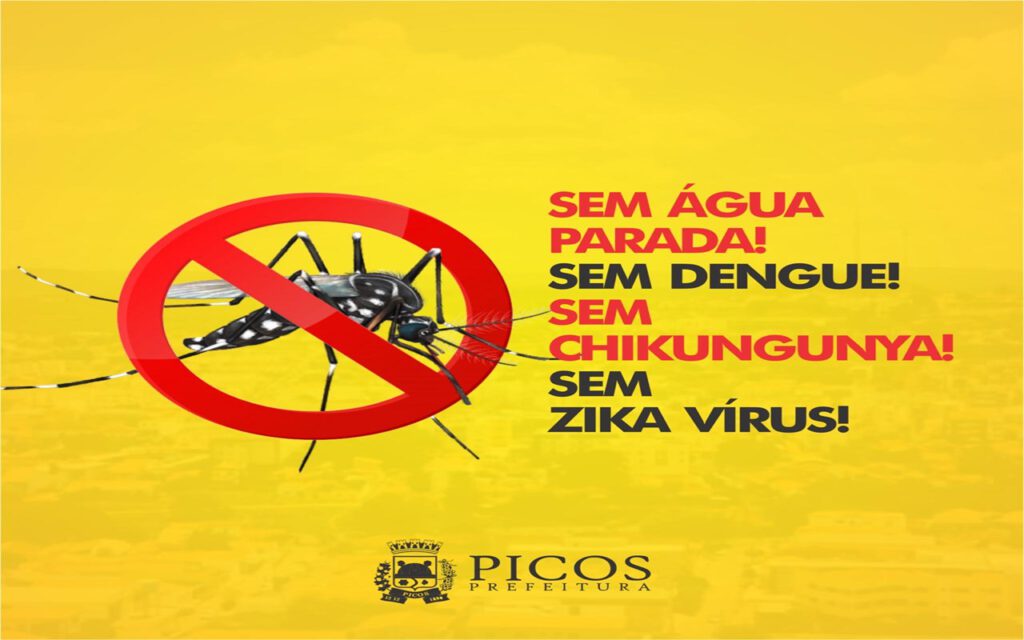 Saúde aponta crescimento de 108,4% de casos de Chikungunya em Picos