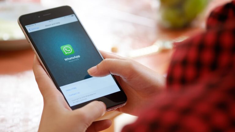 Pesquisa aponta que picoense está se informando mais pelo WhatsApp; professora analisa dados