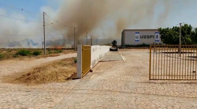 Incêndio em matagal ameaça prédio da Uespi de Picos