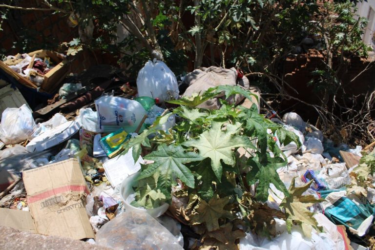 Residência fechada no centro de Picos é usada como depósito irregular de lixo