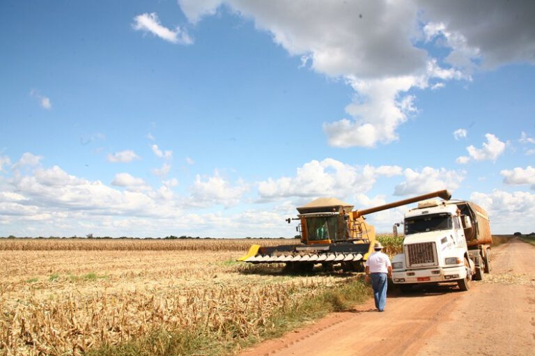 Agronegócio e energia eólica elevam PIB de municípios do Piauí; Confira os maiores