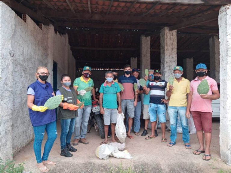 Agricultores de Patos do Piauí são beneficiados com a entrega de sementes e raquetes de Palma