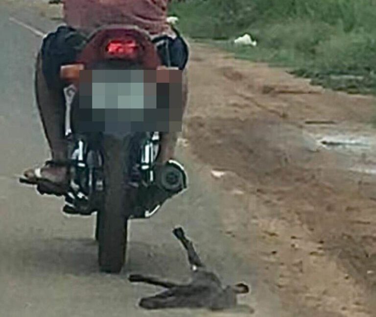 APAPI registra B.O sobre caso do homem que arrastou filhote de cachorro