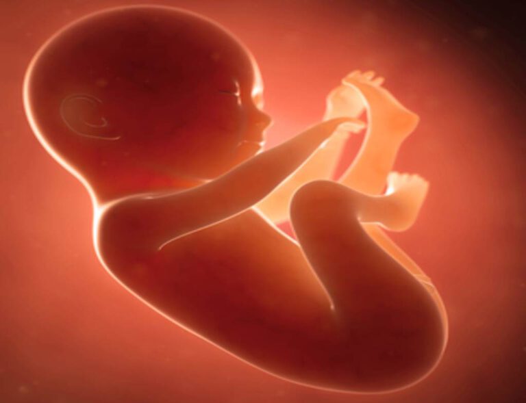 Polícia Civil de Picos indicia casal por prática do crime de aborto
