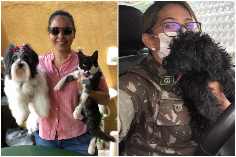 Animais de estimação: companhia e terapia em tempos de pandemia