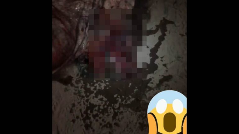 Designer gráfico identifica origem do vídeo fake de lobisomem que circula pelas redes sociais