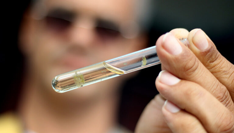 Dengue: 84 municípios registram casos, mas Piauí apresenta queda de notificação