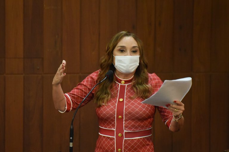 Força do Governo: Flora Izabel é eleita em primeiro turno para o TCE-PI