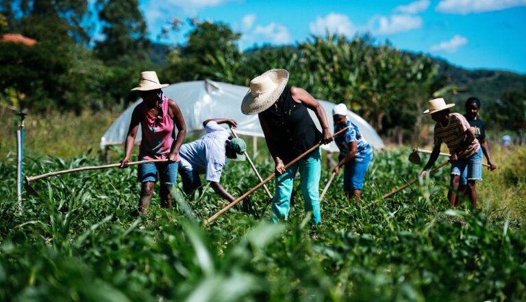 Secretaria de Agricultura de Picos busca recursos em Teresina
