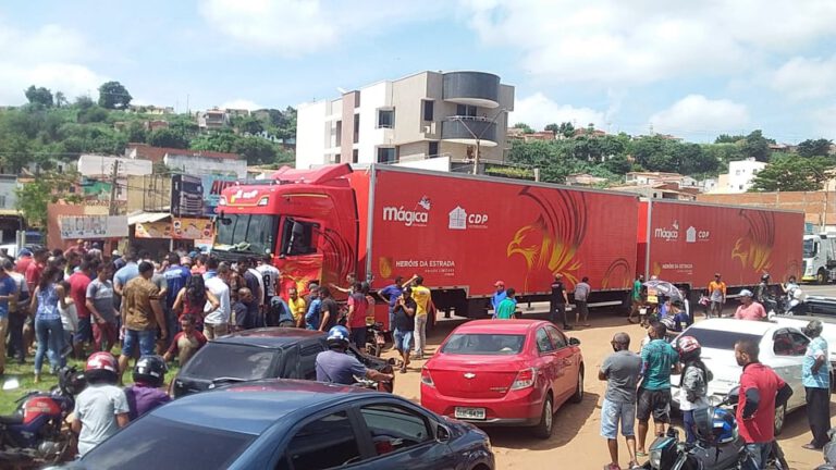 Caminhoneiro que causou acidente na BR 316 sofreu reação alérgica após ferroada de abelha