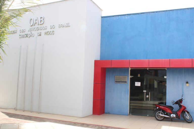 OAB de Picos auxilia jovens a retirar Título de Eleitor