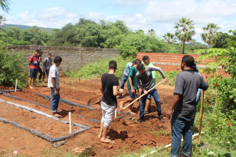 Projeto “Viva o Semiárido” implanta horta orgânica em escola da rede municipal de Picos