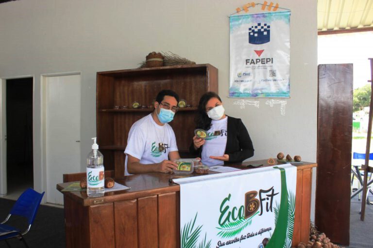 Fapepi anuncia investimentos para estimular abertura de novas empresas no Piauí
