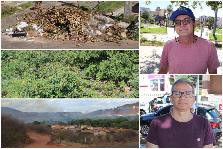 Ações individuais: o dever de cada cidadão em favor do meio ambiente