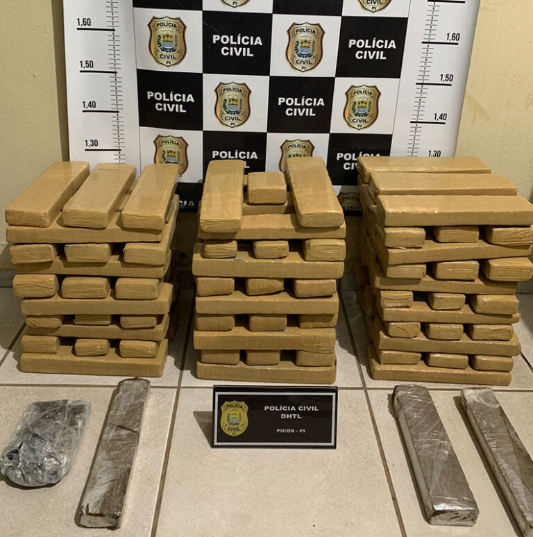 Polícia Civil apreende 97 tabletes de maconha em Picos