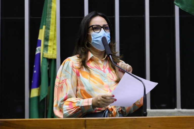Plenário da Câmara aprova projeto de Observatório Nacional da Mulher na Política de autoria de Rejane Dias