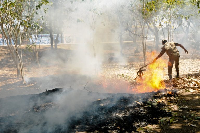Ministério do Meio Ambiente decreta emergência ambiental e risco de incêndio no Piauí