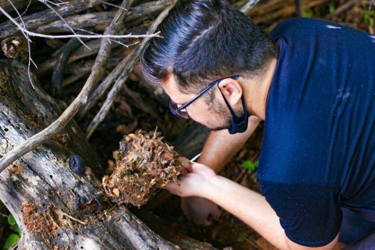 Biólogo picoense descobre nova espécie de crustáceo terrestre e homenageia Piauí