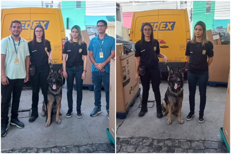 Polícia Civil de Picos realizada operação de vistoria nos Correios com auxílio de cão farejador