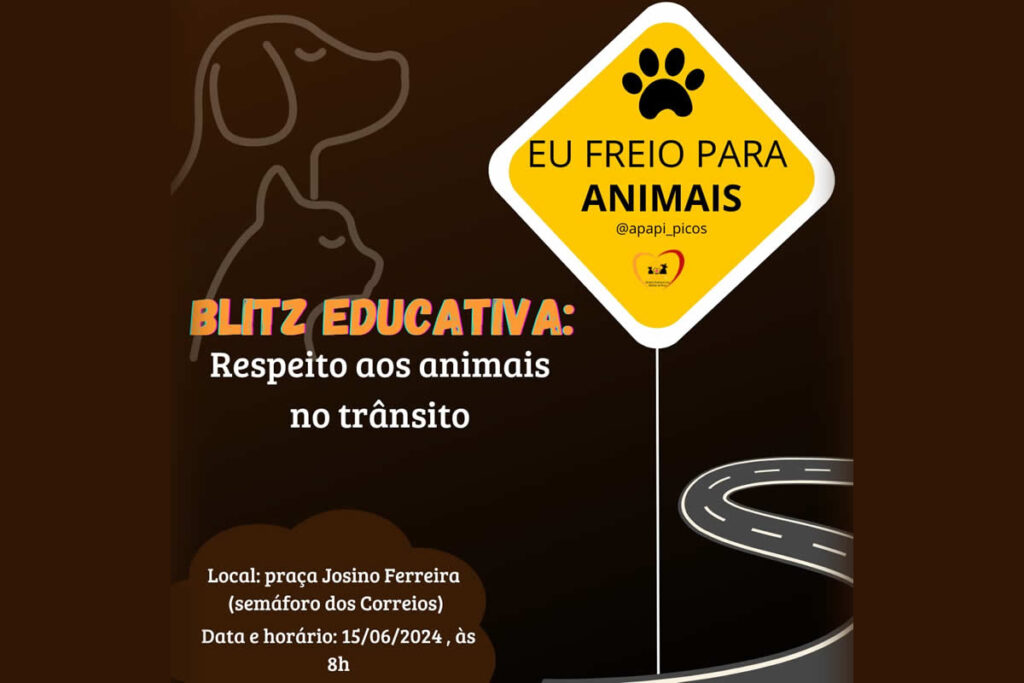 APAPI promoverá blitz educativa a respeito dos animais de rua no sábado (15)