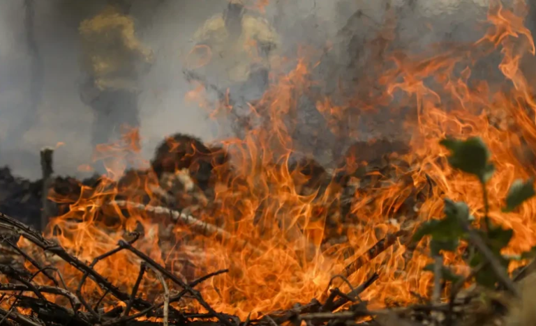 Em média, 107 incêndios foram registrados por dia no Piauí em setembro