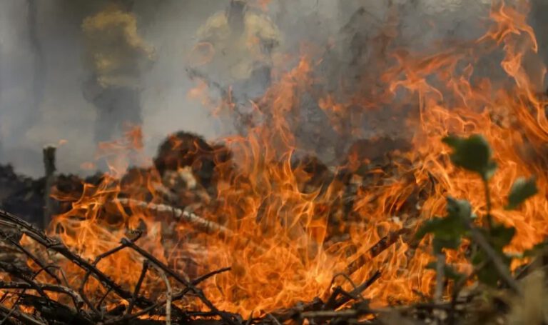 Ocorrências de incêndio no Piauí aumentaram 43% em 2024